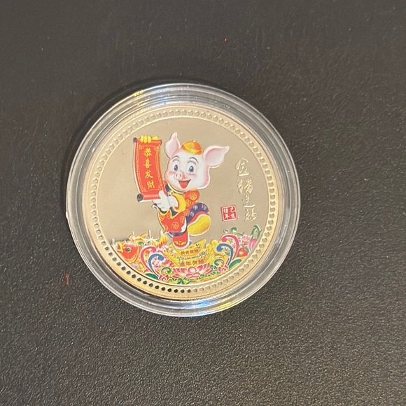 Colorful Pig Design Coins - Picture 4 of 8